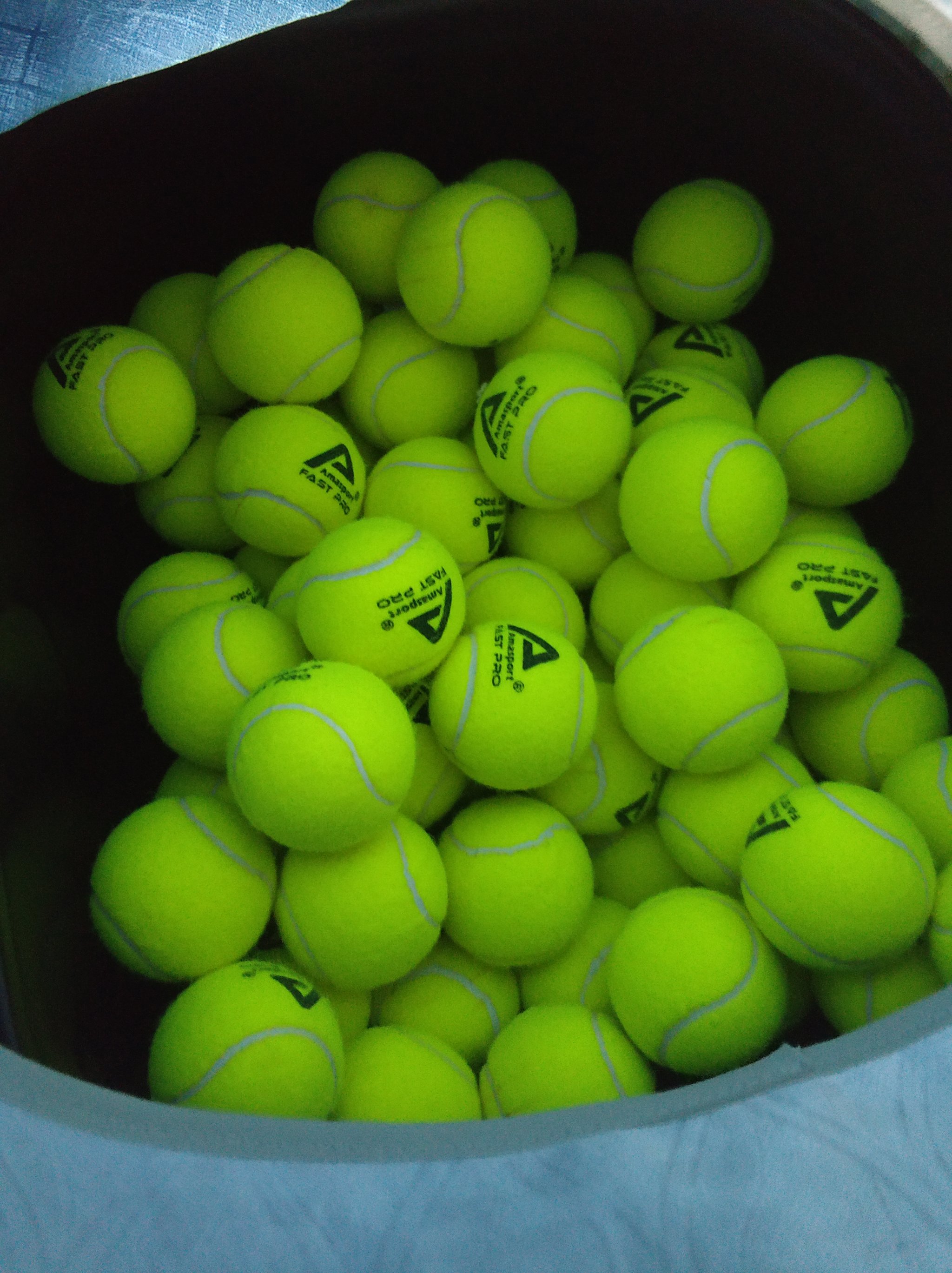 也许在危急 也许在危急